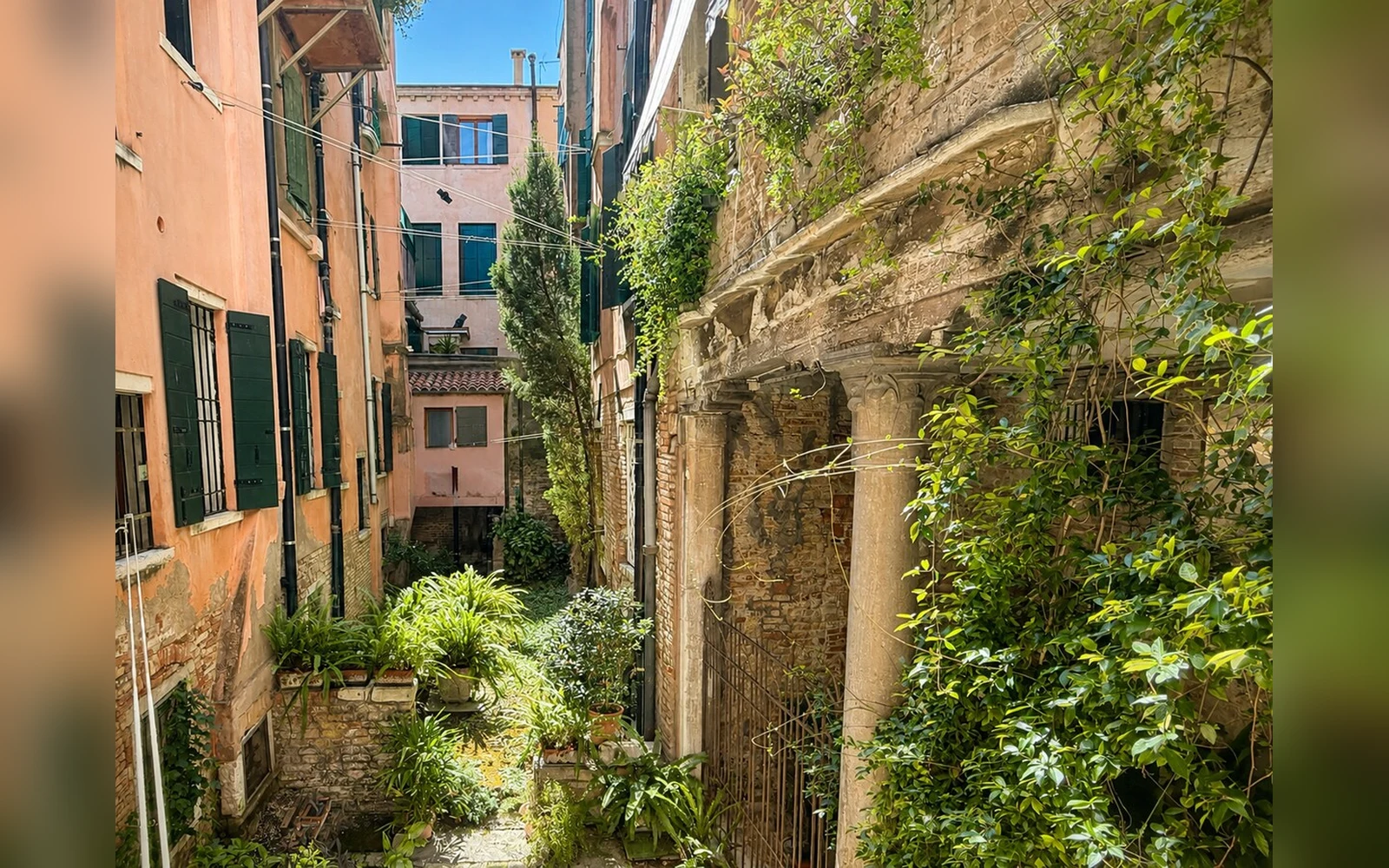 Domus Remedio — il giardino interno